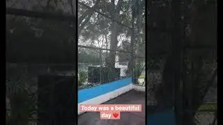 First Day of swimming lessons ❤️ #fun #learning #swimming #lessons #viral #video #pool #outdoors