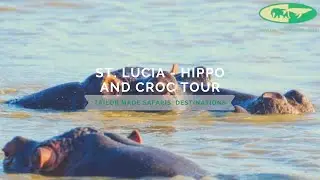 Tailor Made Safaris Destinations | Hippo and Croc Tour