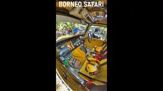 When I'm not running | Borneo Safari 2024 | ODEC, UMS