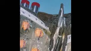 Stimulant - Sub-Normal (2025)