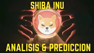 SHIBA INU 🚀 Noticias y Prediccion Hoy 0.00003112$ | Coinstein