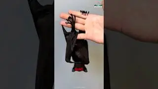 Могут ли летучие мыши летать вслепую?