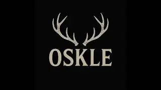 OSKLE - Another brick in the wall (Pink Floyd cover) / Live Mavrica 2025