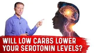 Will a Low-Carb Diet Lower Your Serotonin Levels? &ndash; Dr. Berg