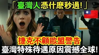 為什麼台灣護照在捷克能暢行無阻，甚至連美國人都羨慕？！西方資深記者親眼目睹機場「台灣人特權」，捷克為何寧願違抗歐盟，也要力挺台灣？台灣特殊待遇原因震撼全球！