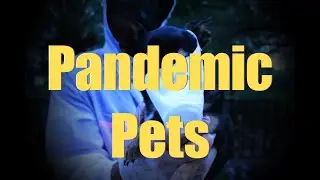 Pandemic Pets (Short Documentary)