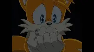 [AMV] Sonic X - The Fox and the Flower (Tailsmo)