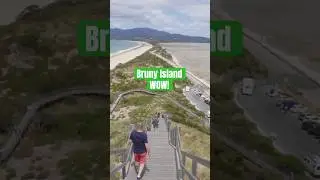 ✨Bruny Island Adventures | Tasmania&rsquo;s Hidden Gem!✨