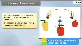 Улучшение сортов сельскохозяйственных культур | Улучшение продовольственных ресурсов | Естествозн...
