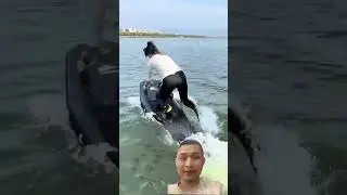 #surfboard #fishing #jetski #surfline #automobile #funny #surf #wavemachine #surfacing