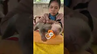 Adorable Mom Take Care Monkey TanTan Sleep