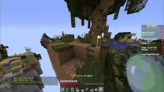 Minecraft: 
