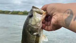 Bass Fishing Decker Lake with the Homies