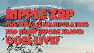 Ripple XRP: Are Whales Manipulating XRP Right Before XRapid Goes Live?