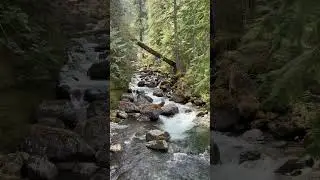 Spring meditation on the West Fork Foss River Lakes Trail #alpinelakes #seattle #meditation