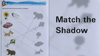 Match the Shadow|Match the Picture with Shadow|Join the Pictures with Shadow