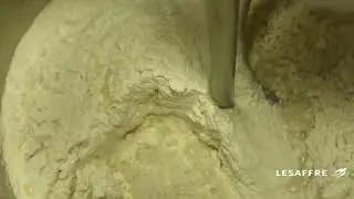 Тестомесы Diosna