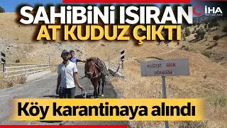 Adıyaman’da Bir Köy ‘Kuduz’ Nedeniyle Karantinaya Alındı