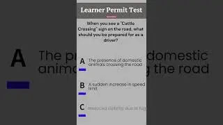 Learner Permit Test 2023 #nyc #dmv