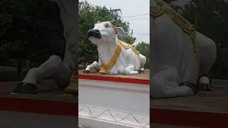 Gomata krishna Bhakti song#viral #youtubeshorts   #hindu#ram#mahadev #sanatandharma#bhajan #bhakti