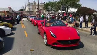 Exotics on Cannery Row 2017
