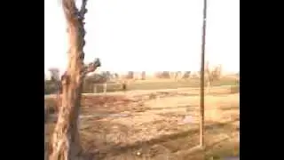 Faisal Village Bhalike.3gp