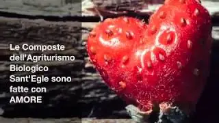 La Composta di Fragole Bio dell'Agriturismo Biologico SantEgle