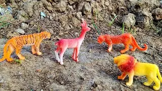 Toys story video lion tiger elephant