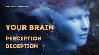 The Hidden Illusions of Your Mind: Understanding Perception Deception | NOVA Documentary