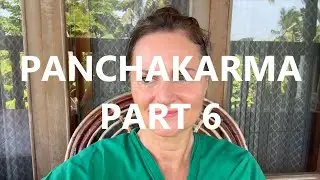 Panchakarma Part 6 | Enema Day, Buttermilk Baths & Ayurvedic Healing