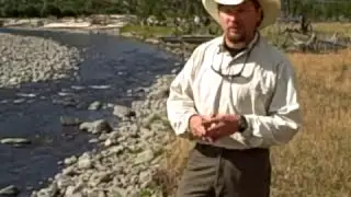Yellowstone Wildfire Research Project | The Importance of Stream Ecology