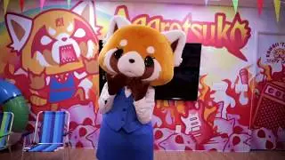 #KawaiiRAGE at Sanrio Japanese Village