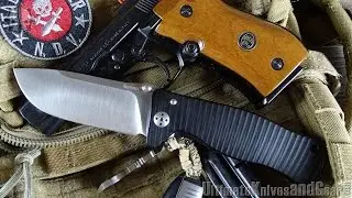 LionSteel SR1A