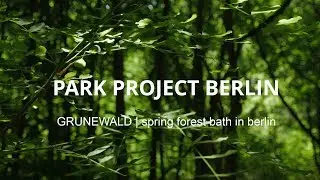 Experience Berlin Grunewald, spring forest bath