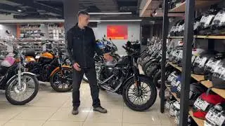 Harley-Davidson Sportster XL883 IRON, 2013 г.