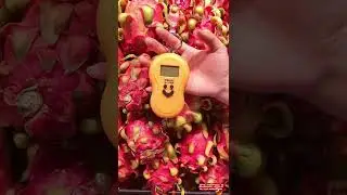 Home essentials! Easy and practical Portable electronic scale spring home small scales 50kg high pre