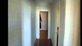 запорожская 15.flv