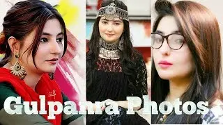 Gul Panra || New And Old Pic 2018 || GulPanra Queen of Kpk 2018||
