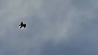 VID 20210309 123826 Серпастые Шкурдалова март 2021