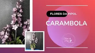 CARAMBOLA E SUAS TRANSFORMAÇÕES - FLORES DA PIPOL