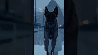 Hero Belgian Malinois SAVES Owner From Jumping on a Snowy Bridge!