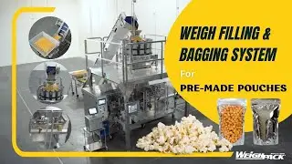 Popcorn Packaging Machines - Turnkey Weighing & Pouch Filling System