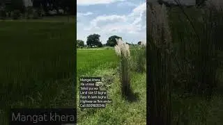 #land sale jila unnao tahsil purwa mangat khera 5.1 bigha rate 16 lakh rs bigha#8009835546#views10k