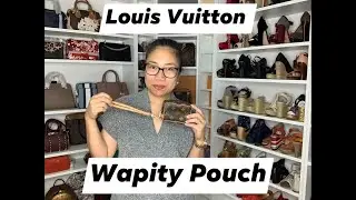 Louis Vuitton Wapity Pouch/Case