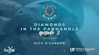 Bite-sized Science: Diamonds in the Panhandle