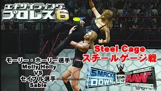 PS2🎮「エキサイティングプロレス６/SmackDown VS Raw」Steel Cage戦 　モーリー・ホーリー選手VSセイブル選手（COM観戦）
