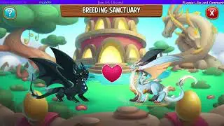 Breeding The Pure Dark  dragon