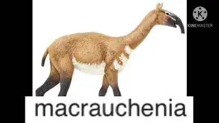 Macrauchenia =Eopie
