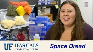 Space Bread - Deep Space Food Challenge