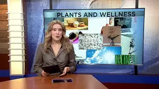 Wellness Wednesday: How plants can boost your mood